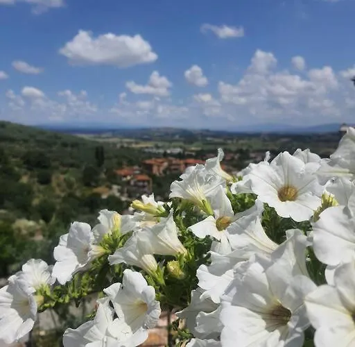 Con Vista - Casa Maria Sinalunga